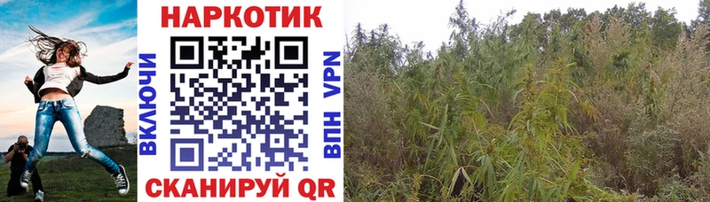 Наркошоп купить Каннабис Галлюциногенные грибы ГАШ A-PVP Меф мяу мяу Cocaine Жердевка
