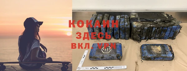 ГАЛЛЮЦИНОГЕННЫЕ ГРИБЫ Белокуриха