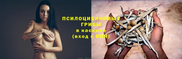 ГАЛЛЮЦИНОГЕННЫЕ ГРИБЫ Белокуриха