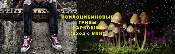 ГАЛЛЮЦИНОГЕННЫЕ ГРИБЫ Белокуриха