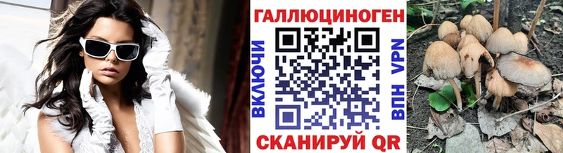 Купить где Жердевка Псилоцибиновые грибы Cubensis